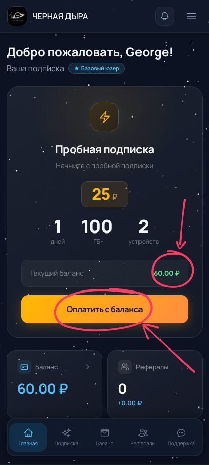 Главная с пополненным балансом и кнопкой Оплатить с баланса